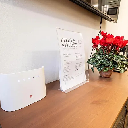 Ai Due Allori - Metro C Parco Di Centocelle Per Il Colosseo A 10 Minuti, Wi-fi, Aria Condizionata 公寓 罗马